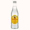 AGUA MINERAL TOPO CHICO c/24 pz