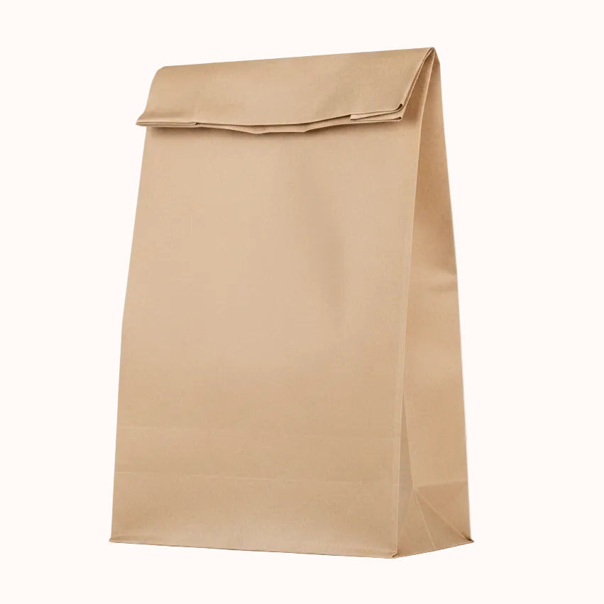 BOLSAS KRAFT p/DELIVERY c/25 pz