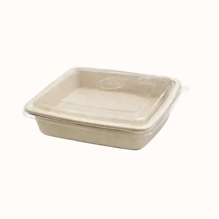 CONTENEDOR CUADRADO c/TAPA DE BAGAZO BIO c/50 pz
