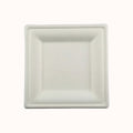 PLATO CUADRADO DE BAGAZO BIO c/36 pz