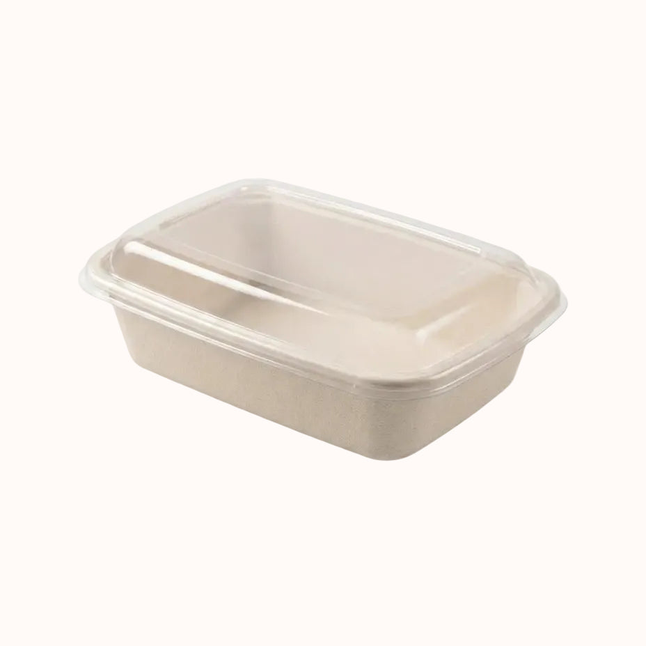 CONTENEDOR RECTANGULAR c/TAPA DE BAGAZO BIO c/50 pz