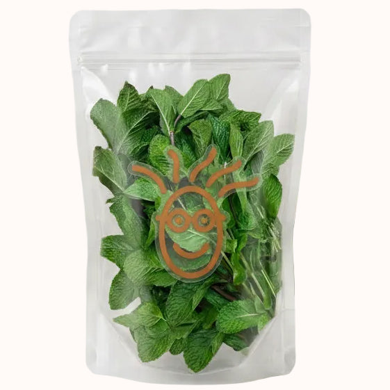 HOJAS DE MENTA c/500 g