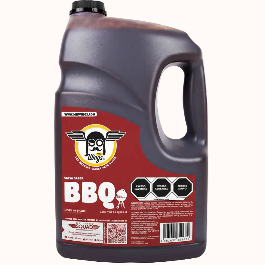 SALSA BBQ Mr. WINGS c/4.1 kg