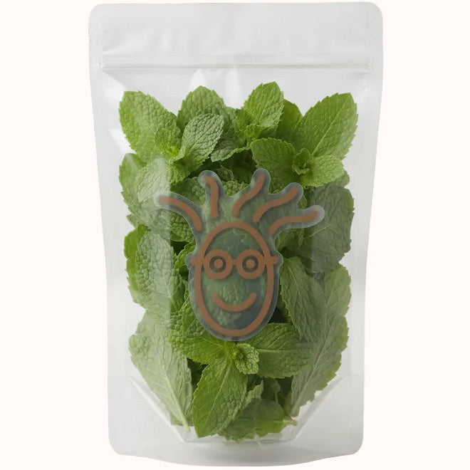 HOJAS DE MENTA c/500 g